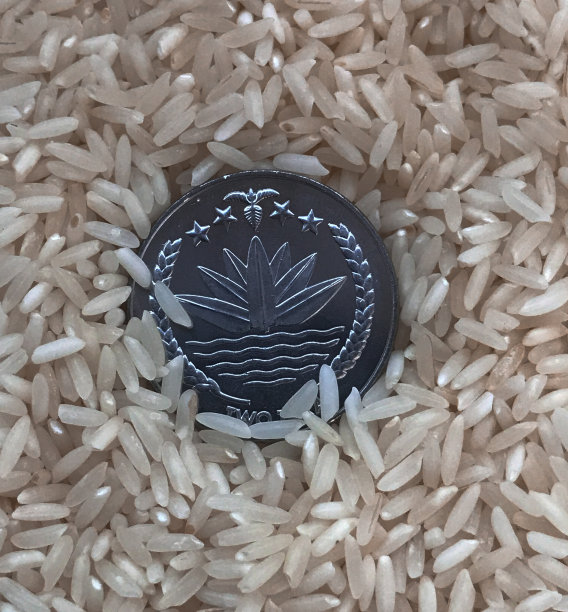 米饭里有一枚不锈钢硬币图片下载