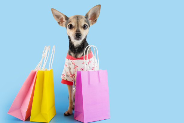 狗狗超市，狗狗购物袋，宠物店，折扣和销售，复制空间图片下载
