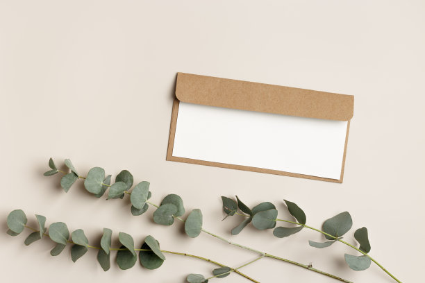 空白纸卡片模拟和工艺信封与树枝桉树叶在米色背景。桌上放着白色的邀请函。简约的生活方式照片。平铺，俯视图，复制空间。图片下载