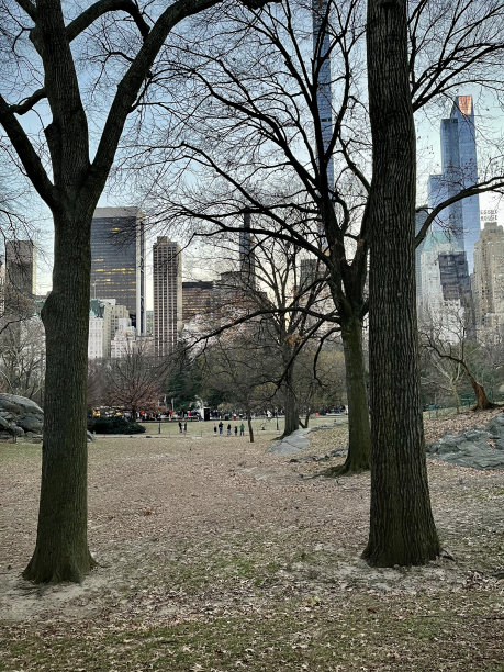 纽约中央公园图片下载