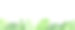 矢量水平无缝边界与绿色热带树叶在白色的背景。图片下载