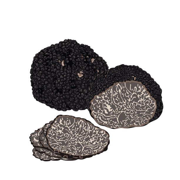 黑松露孤立在白色背景上。图片下载