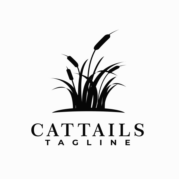 香蒲植物矢量模板。芦苇草。水植物图形插图。图片下载