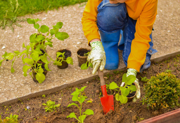 一个年轻的白人男孩戴着园艺手套照料花园，花园里的杂草。图片下载