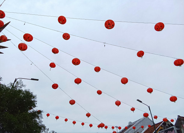 一盏灯笼在庆祝的日子图片下载