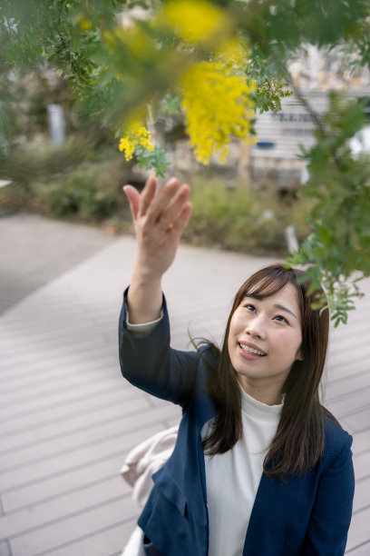 女人在城市里触摸含羞草花图片下载