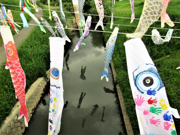 日本。五月Koinobori，日本传统的水面上的鲤鱼形状的风袜。图片下载