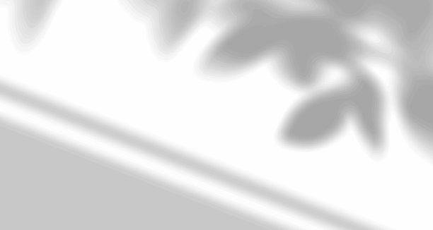 现实模糊的自然光线树叶，手掌和窗户阴影覆盖在墙纸或框架纹理上，抽象的背景，夏季，春季，秋季用于产品展示平台和实物模型。图片下载