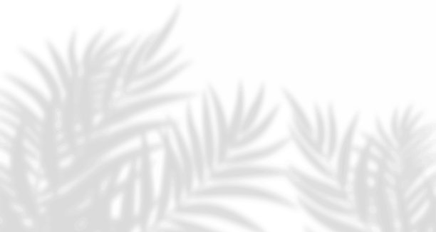 现实模糊的自然光线树叶，手掌和窗户阴影覆盖在墙纸或框架纹理上，抽象的背景，夏季，春季，秋季用于产品展示平台和实物模型。图片下载