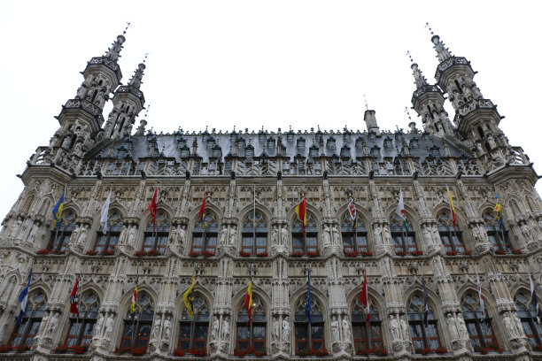 鲁汶市政厅的正面在阴天图片下载