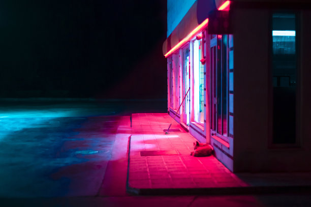 狗晚上睡在户外图片下载