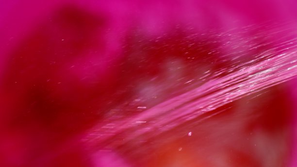 水桶图像中的红色水彩图片下载