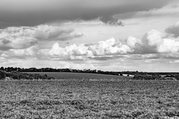 美丽的地平线风景在村庄草地上的颜色自然背景图片下载