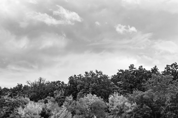 美丽的地平线风景在村庄草地上的颜色自然背景图片下载