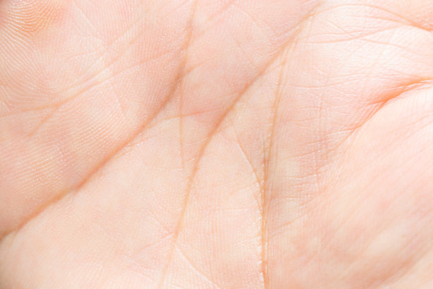 人体手掌皮肤纹理微距图像，人体手掌表面纹理微距图像，人体皮肤纹理与皱纹特写，手部特写图片下载