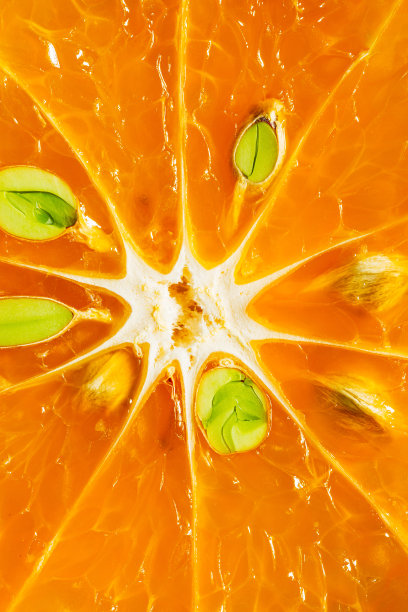 大橙子，新鲜的橙子片，白色背景上有气泡图片下载