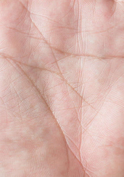 人体手掌皮肤纹理微距图像，人体手掌表面纹理微距图像，人体皮肤纹理与皱纹特写，手部特写图片下载