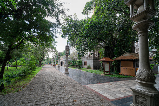 胡志明市的布隆塔。越南胡志明市一座美丽的佛教寺庙。印度，缅甸，老挝的混合建筑。越南库存照片图片下载