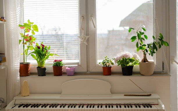 靠近照片的白色钢琴的窗户与花盆。图片下载