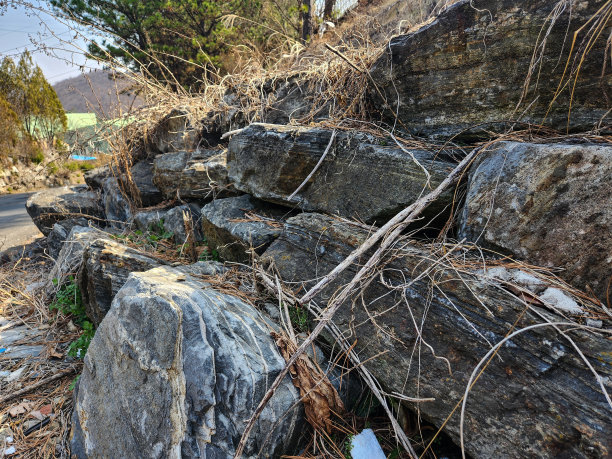 河流石头纹理的特写照片图片下载