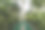 身份不明的人在吊桥在树顶天桥在达纳姆山谷拉哈德大图图片下载