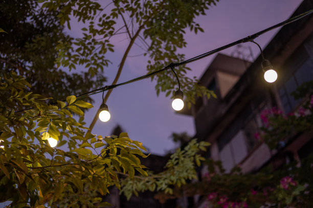 带有圣诞装饰的灯泡图片下载