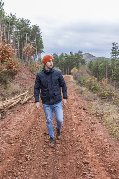 漫步在冬日森林令人窒息的光线中图片下载