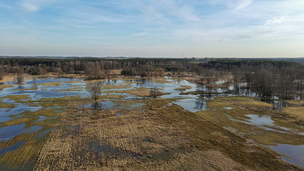 波兰，一条小河周围的泉水。图片下载