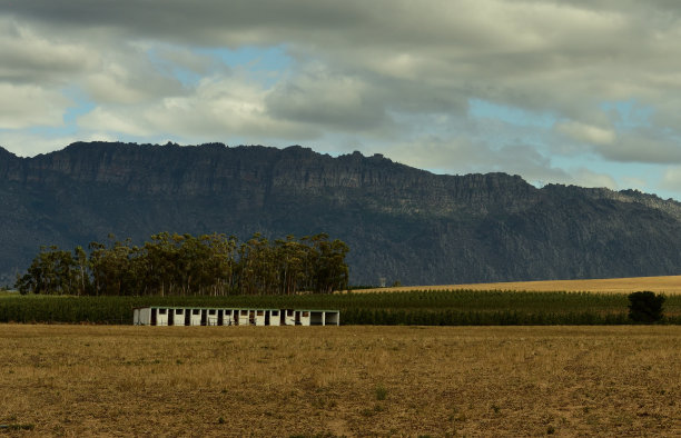 草原上的马厩，背景是南非西开普的维岑贝格山脉图片下载