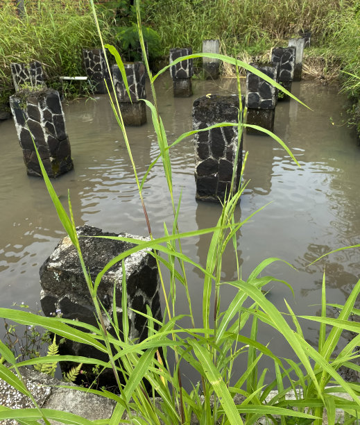 抛弃旧凉亭图片下载