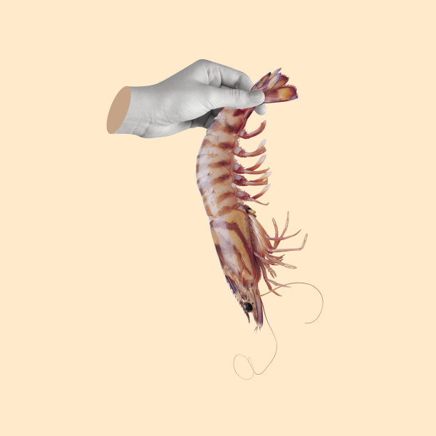 当代艺术拼贴画的一只手握着虾。图片下载