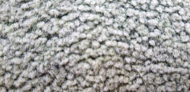 垫材质图片下载