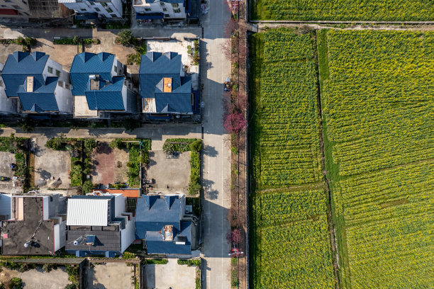 农村房屋和油菜花田鸟瞰图图片下载