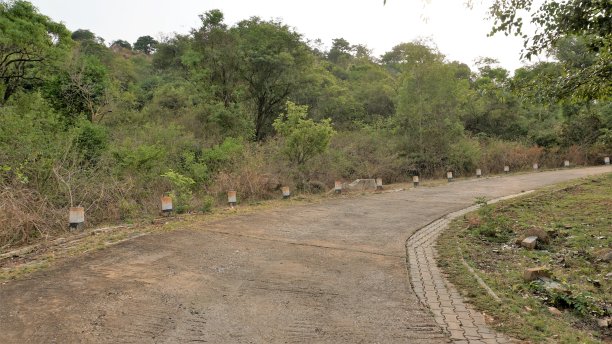 徒步或徒步前往位于Chikaballapur的Avalabetta峰，拥有天然的丘陵绿化。图片下载