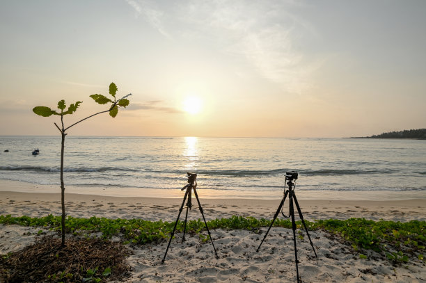 用两台相机记录日落图片下载