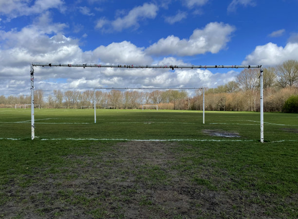 目标职位图片下载