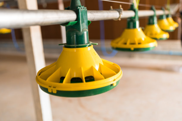 空鸡场建筑，有喂食器，加热器和家禽浇水系统图片下载