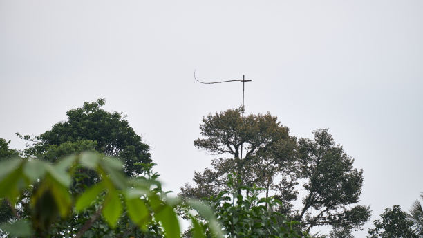 乡村的竹风车图片下载