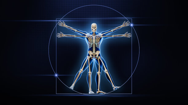 人类男性身体和骨骼x线3D渲染插图与复制空间在蓝色背景。骨骼或骨骼解剖学、医学、保健、科学、生物学、骨学概念。图片下载