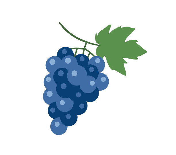 涂鸦水果图标图片下载