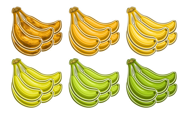 矢量香蕉束套装图片下载