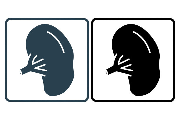 脾脏图标说明。与人体器官有关的图标。实心图标样式。简单的矢量设计可编辑图片下载