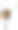 卡通女人耸肩说话泡沫图片下载