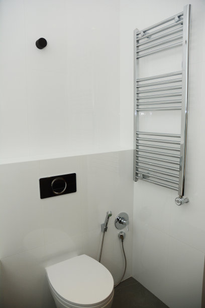 现代化浴室，白色马桶，浴盆淋浴和恒温电动毛巾架。图片下载
