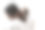 非洲男子感到脊柱和颈部疼痛，因为脊神经压迫在白色背景。颈椎骨软骨病是非裔美国人的根性综合征。图片下载