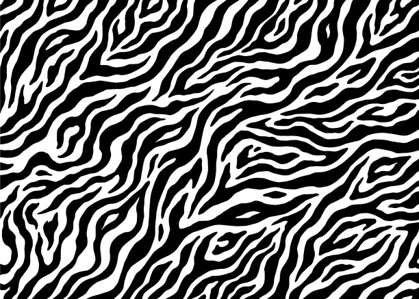 斑马印花概念图案设计。矢量插图背景。图片下载
