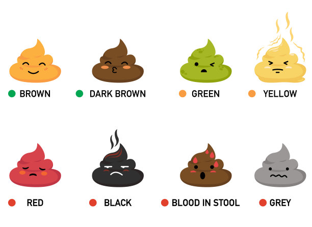 大便颜色好坏矢量插图图片下载