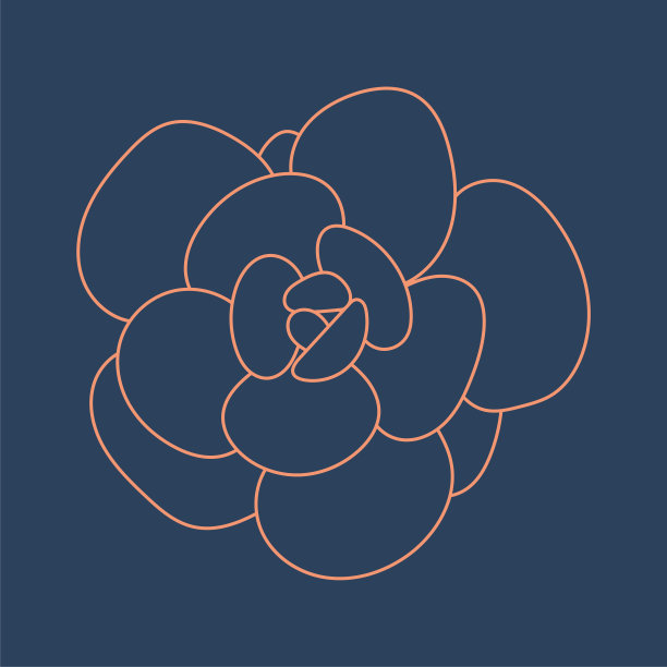 手绘可爱多汁，涂鸦风格。图形素描家花芙蓉。图片下载