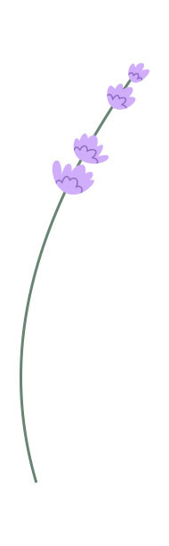 薰衣草花早午餐图片下载