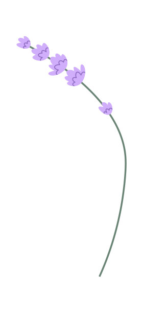 薰衣草花早午餐图片下载